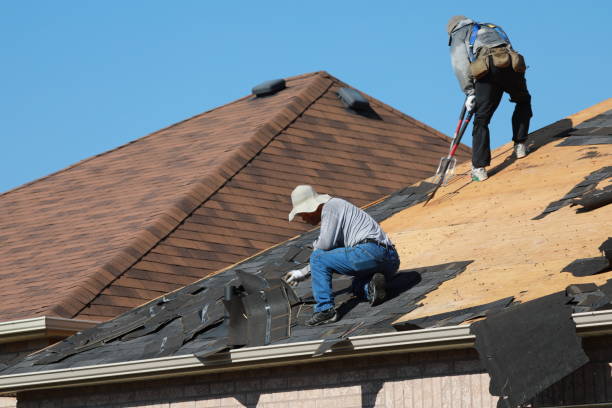 Best Rubber Roofing (EPDM, TPO)  in Logan, WV